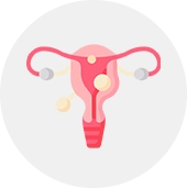 Fibroids
